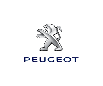 Peugeot_slide.png